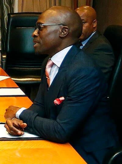 Portrait of Malusi Gigaba