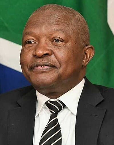 Portrait of David Mabuza