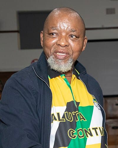 Portrait of Gwede Mantashe
