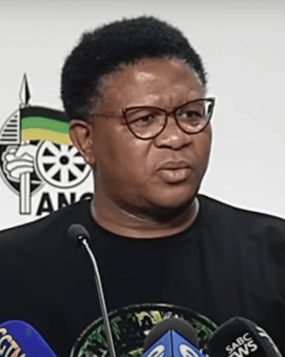 Portrait of Fikile Mbalula